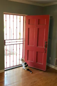 Screen door safeguards Americans’ trust in others